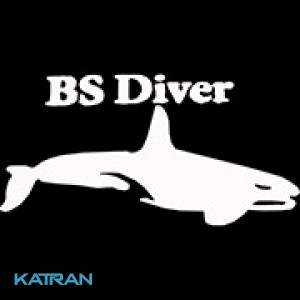Отбортовка латексная Bs Diver для ласт (4 шт)